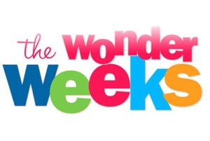 The-Wonder-Weeks-Welcome1